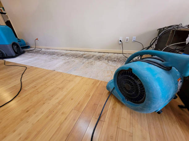Professional Emergency Water Damage technician working in Winchester, IN
